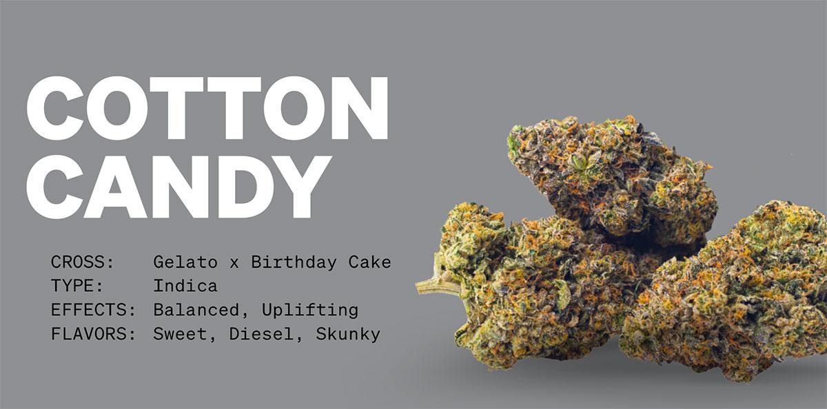 Cotton Candy Cannabis Strain Details