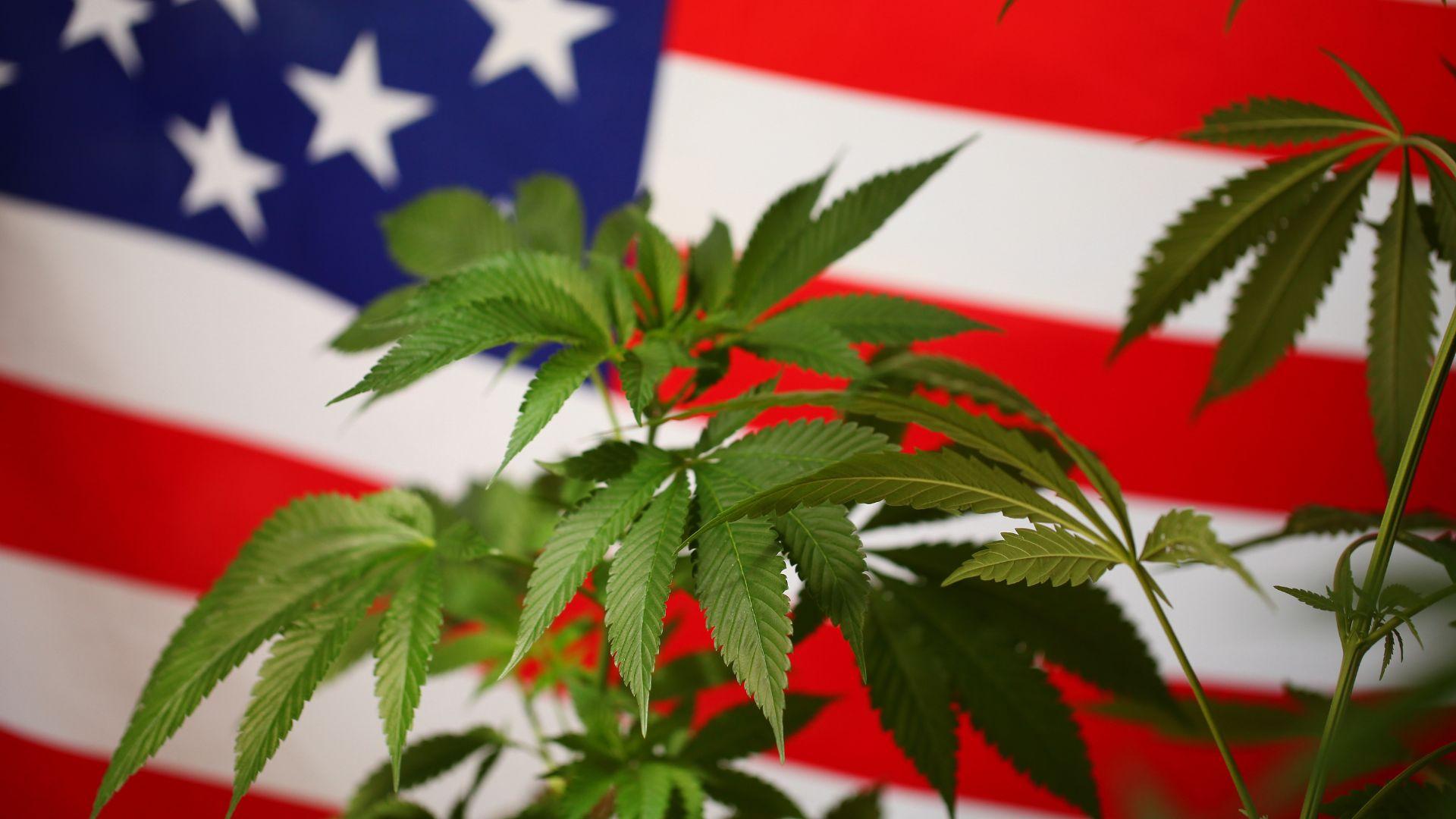 The Patriotic History of Hemp