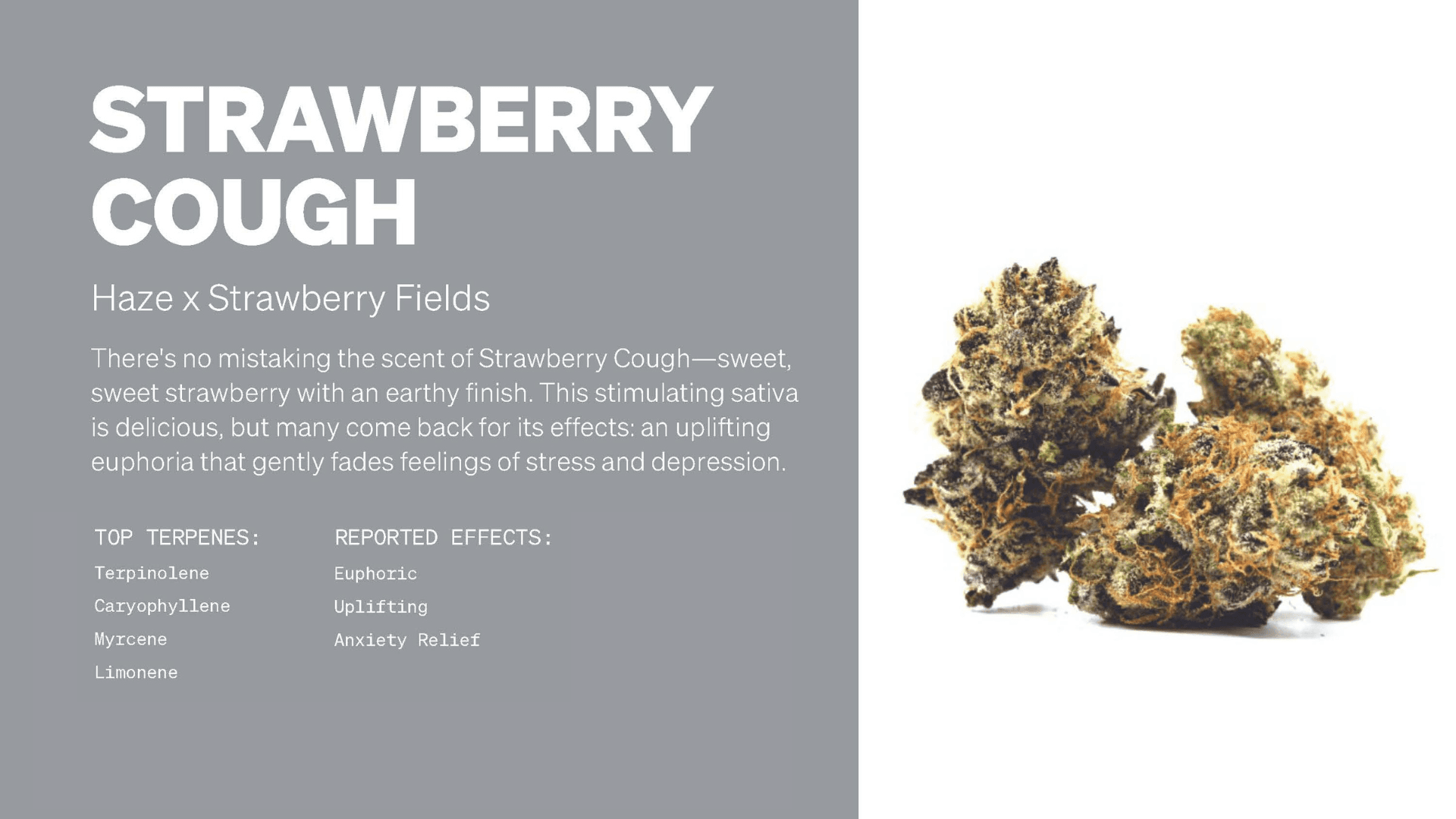 Strawberry Cough Strain Info