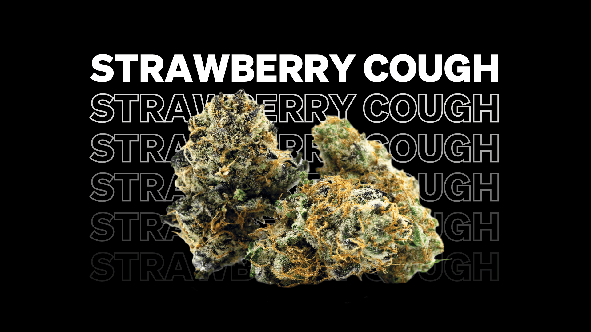 Strawberry Cough Strain Spotlight