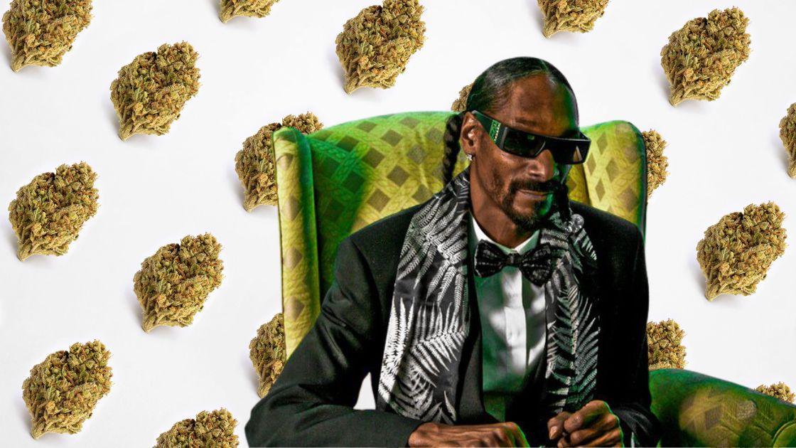 Snoop Dogg Halloween Costume